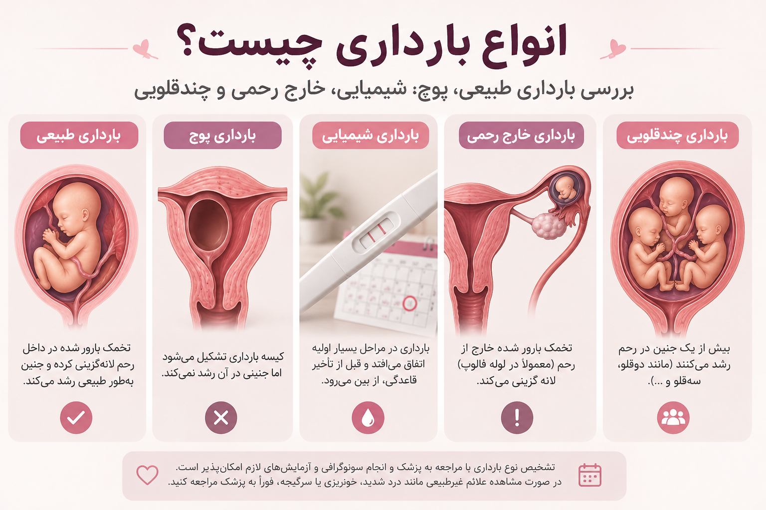 انواع بارداری چیست؟ بررسی بارداری طبیعی، پوچ، شیمیایی، خارج رحمی و چندقلویی